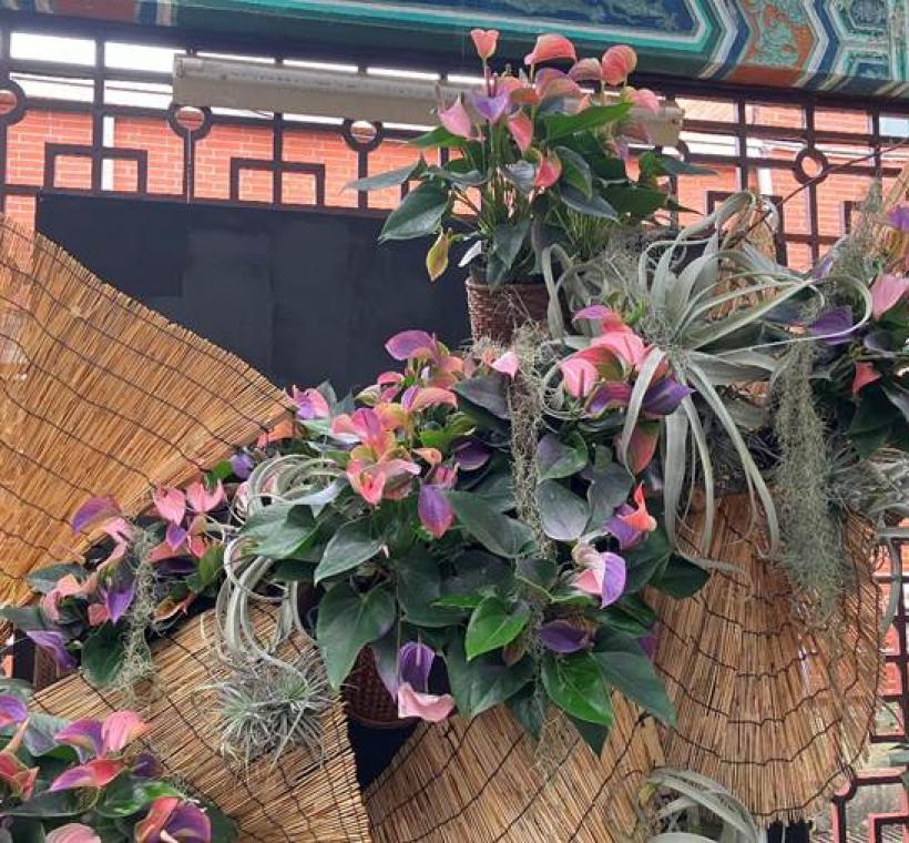 將粉色火鶴花噴上紫色帶出整體夢幻感設計