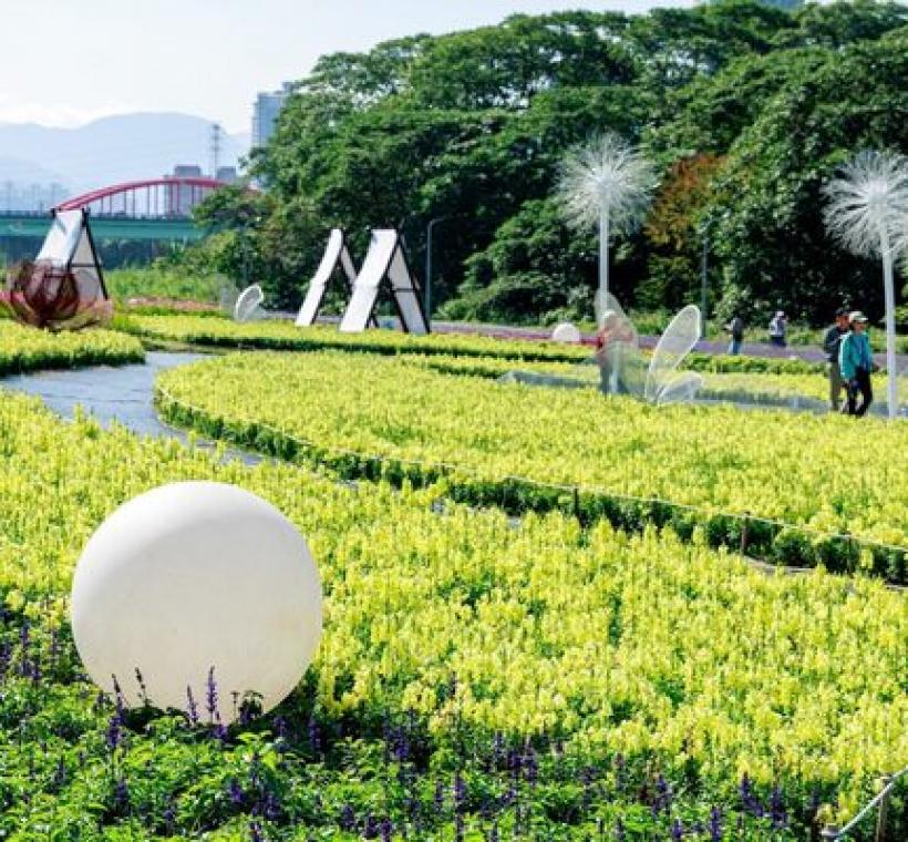 古亭河濱花海 繽紛綻放中