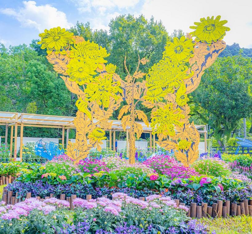 攜手藝術家半隻羊團隊設計的「蛻菊」展件