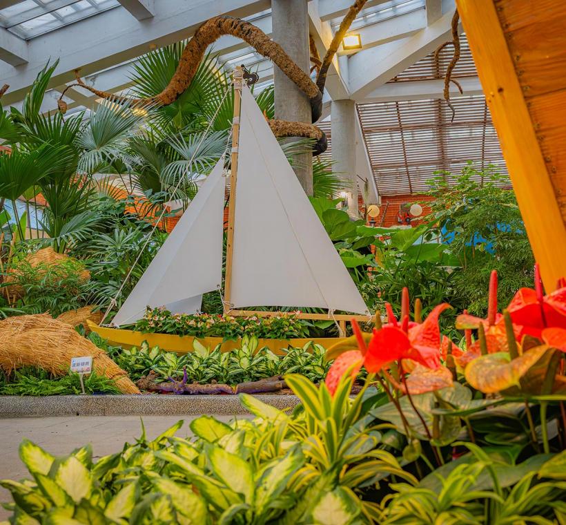 風帆逆風起航迎向未知的挑戰