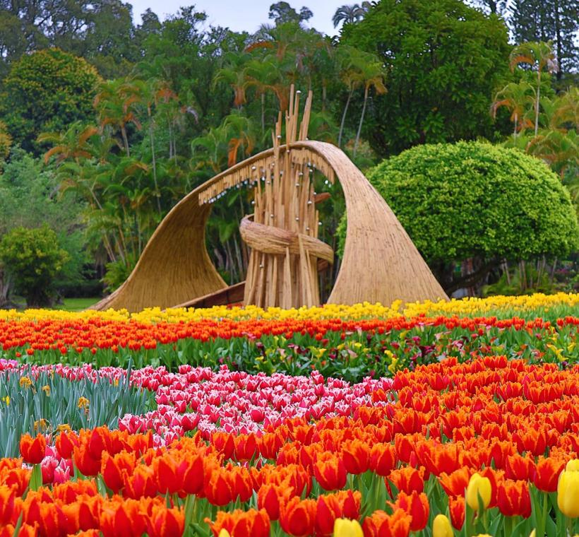 2026 CKS Shilin Residence Tulip Festival