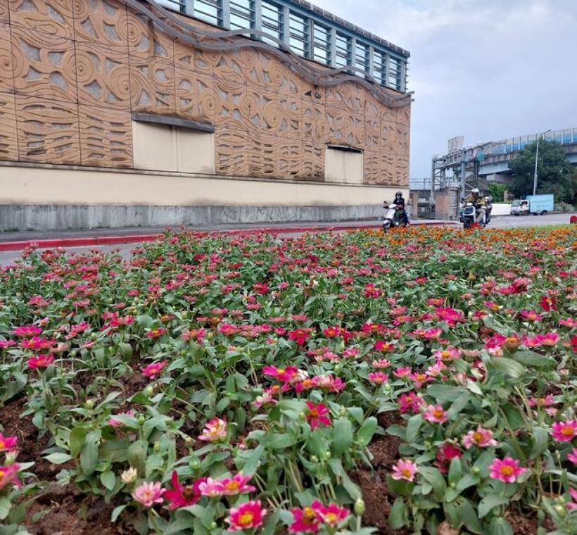 公園處期盼透過栽植不同種類草花，讓來往行人與駕駛者帶來片刻放鬆的視覺饗宴。