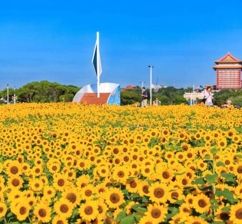 這次花海主題為「穿梭花海，航向幸福」，因此設有「船型眺望台」