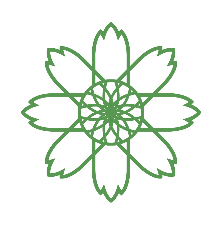 大波斯菊