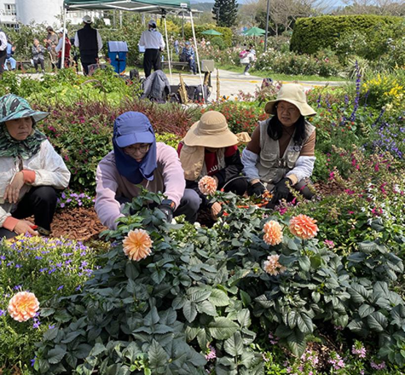 圖15 志工與同仁一同養護園藝植物佈展區。.JPG