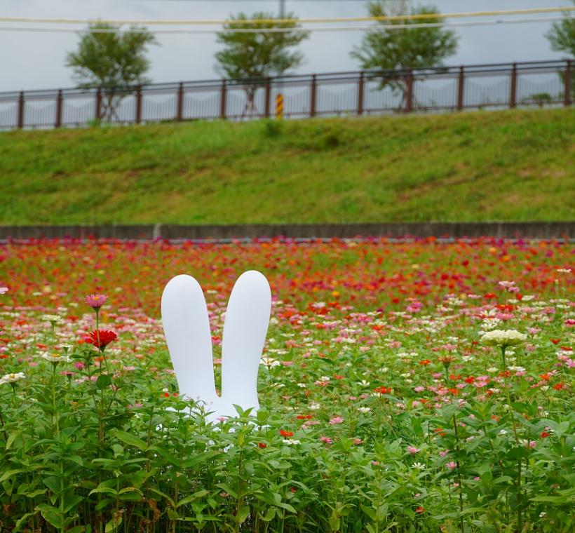 2024年花海一隅