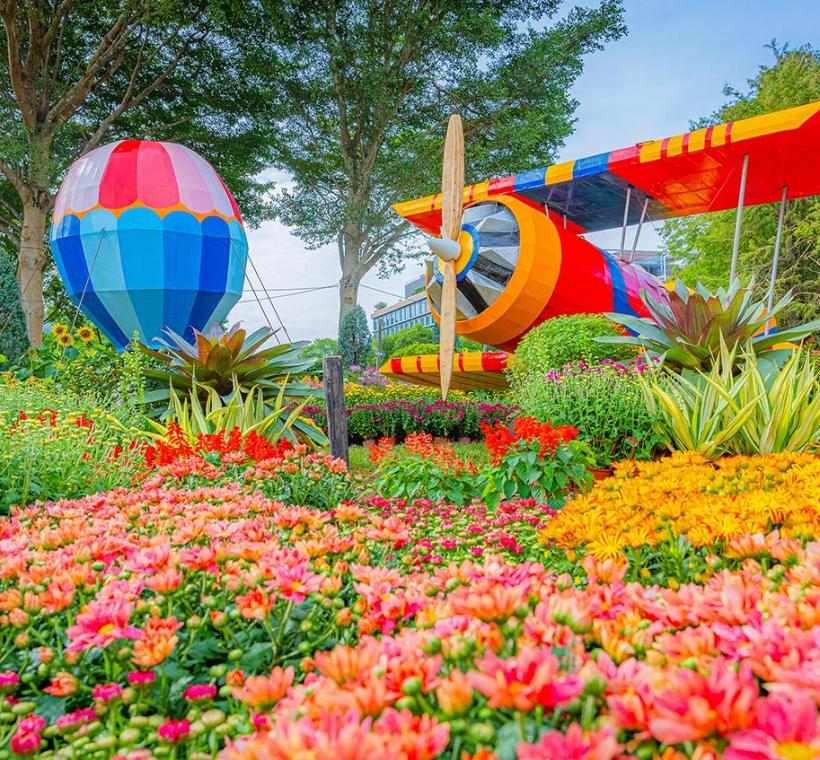 繽紛草花搭配雙翼飛機，與您乘風起航