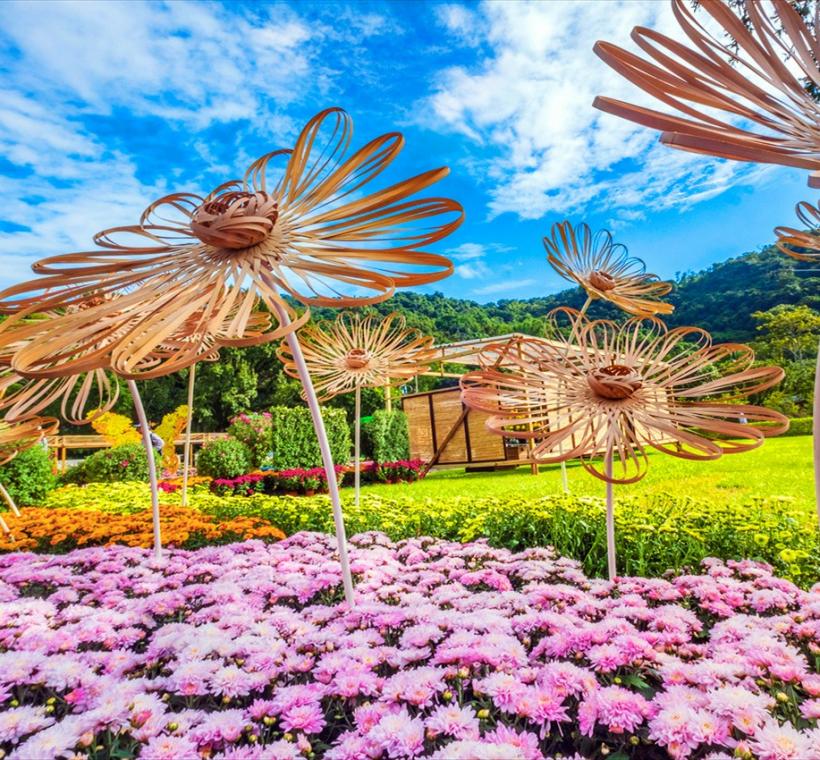 特別獎-蔡文君-匠心菊藝