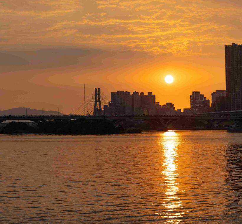 去延平河濱賞花海 還可順路欣賞淡水河夕照