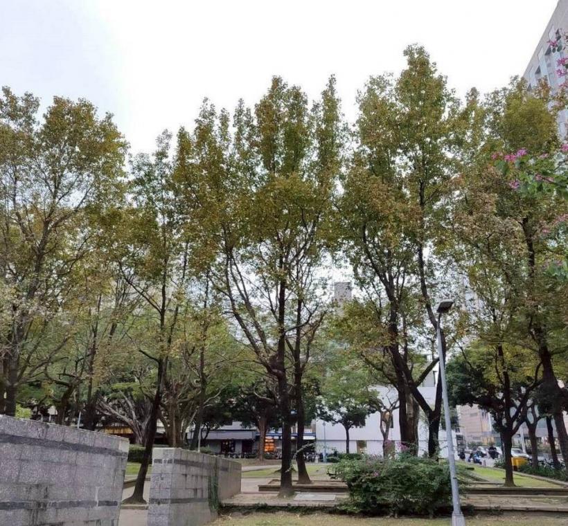 不管是晴天還是陰天，隨便拍都很美(林森公園、康樂公園)