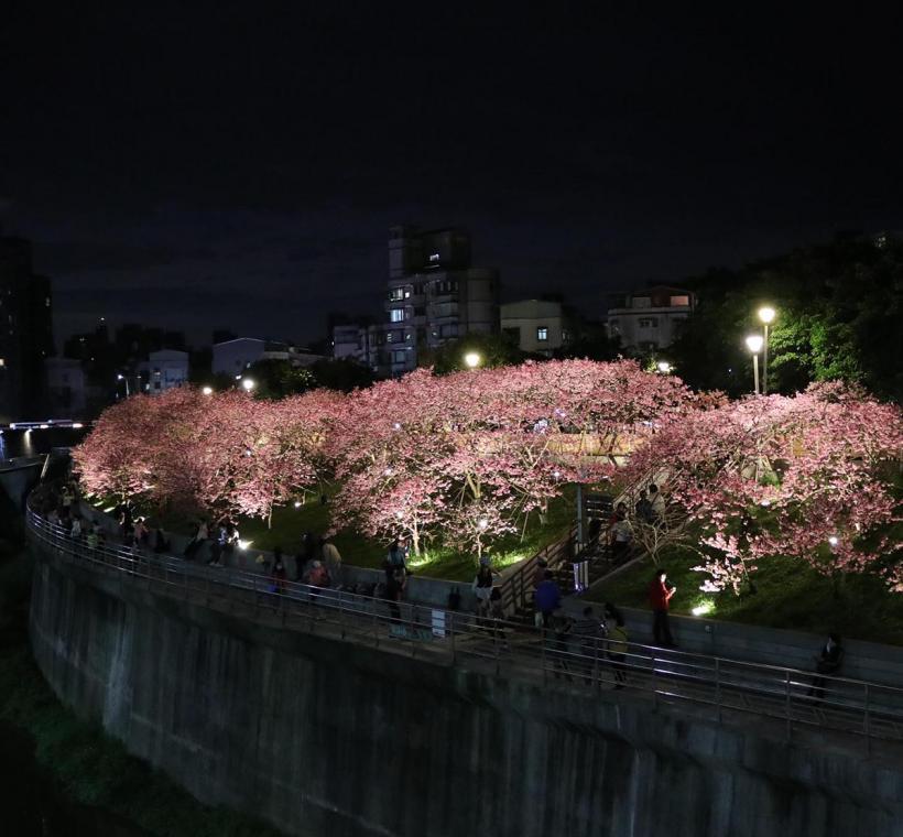 2025 LOHAS Cherry Blossom Festival