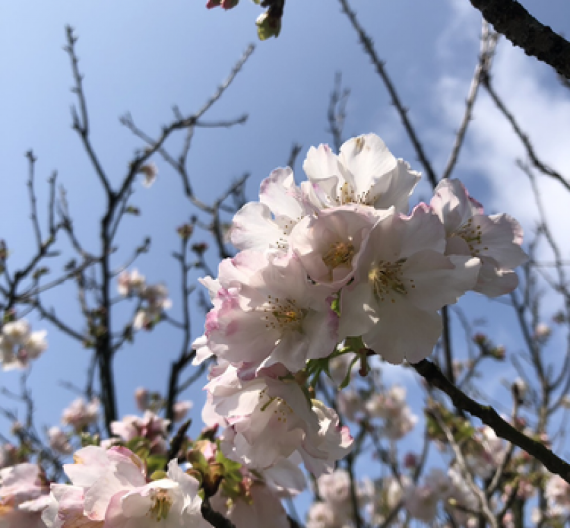 陽明公園遊客中心旁