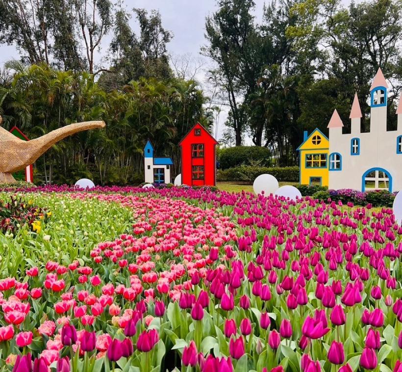 2025 CKS Shilin Residence Tulip Festival