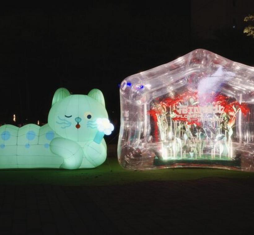 繽紛裝置夜間發光，成為城市焦點
