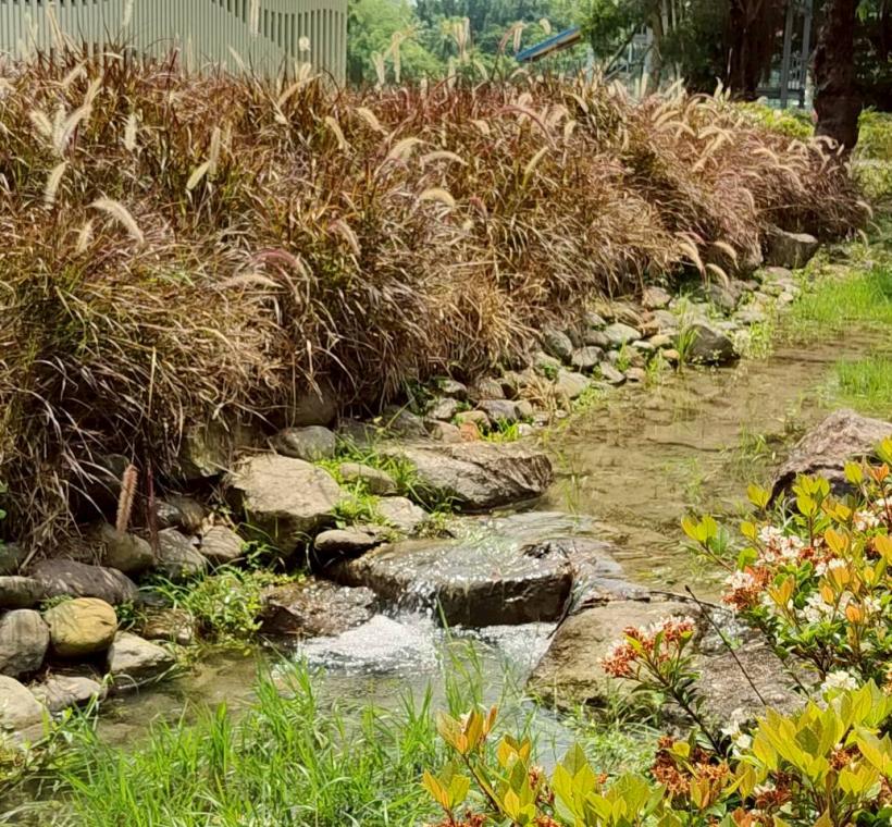 新生南路3段水圳意象重現計畫，「大灣草圳」，打造任何人都能平等且安全使用的步行空間