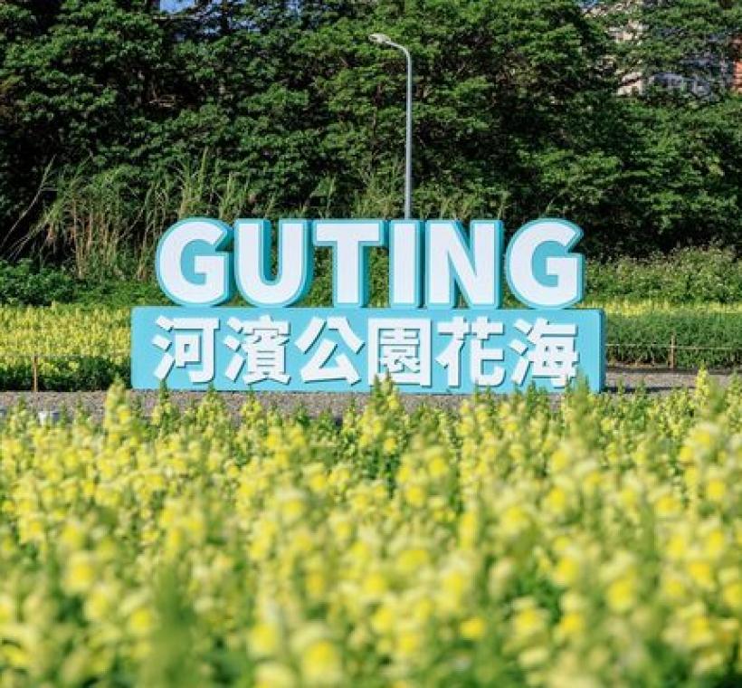 古亭河濱花海 繽紛綻放中