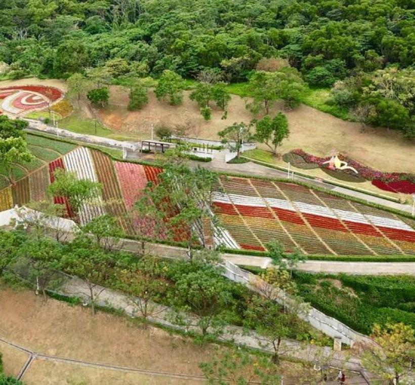 三層崎花海花況 空拍