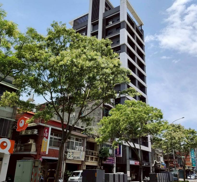 延平北路5段中央分隔島的光臘樹成為街道上特色風景