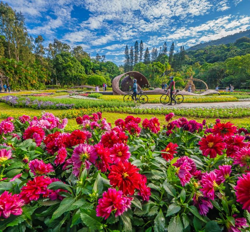 金獎-菊展騎跡-蕭慶良