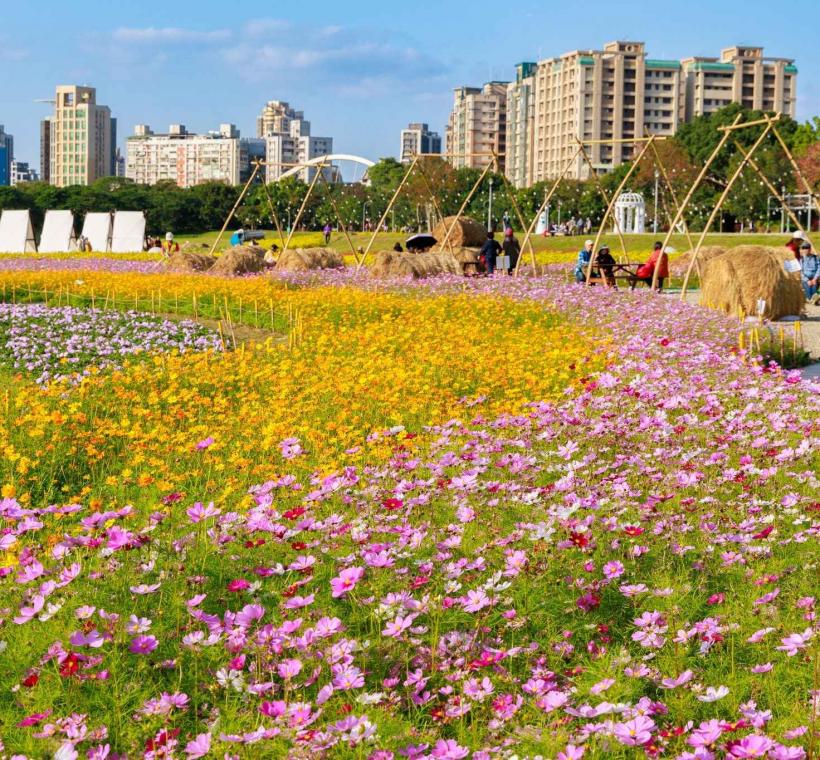 古亭河濱花海盛開 歡迎大家來賞花 感受花開的浪漫氣息