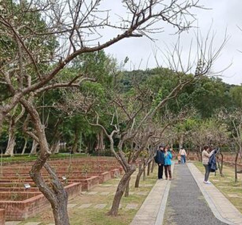 士林官邸玫瑰園一隅