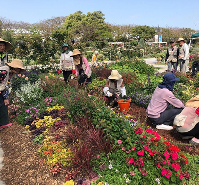 圖16 志工與同仁一同養護園藝植物佈展區。