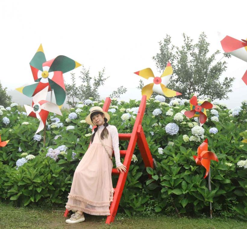 迎春圃花園