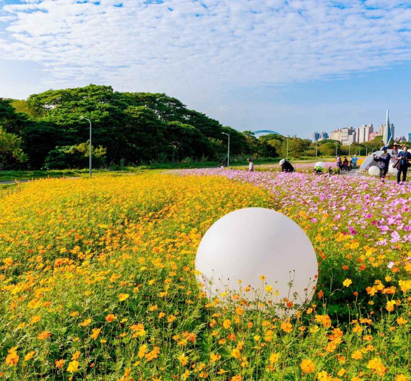 古亭河濱花海球型燈 讓大家拍照更有特色