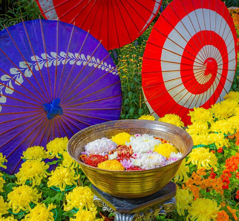 鮮花菊手水為展區帶來清新氣息