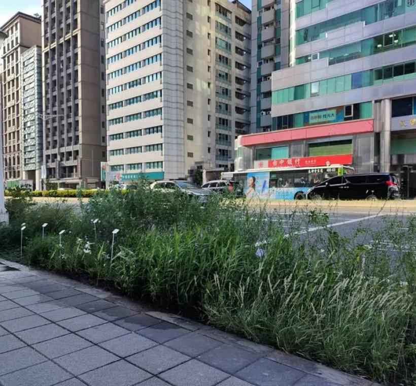 這樣的合作正是「最佳綠化搭檔」，把原本容易被忽略的街角空間，轉化為認識臺灣植物、感受自然之美的城市窗口