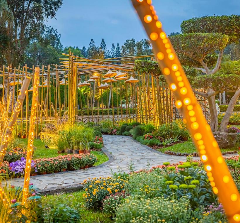 展區設計浪漫燈光在夜間更顯溫暖