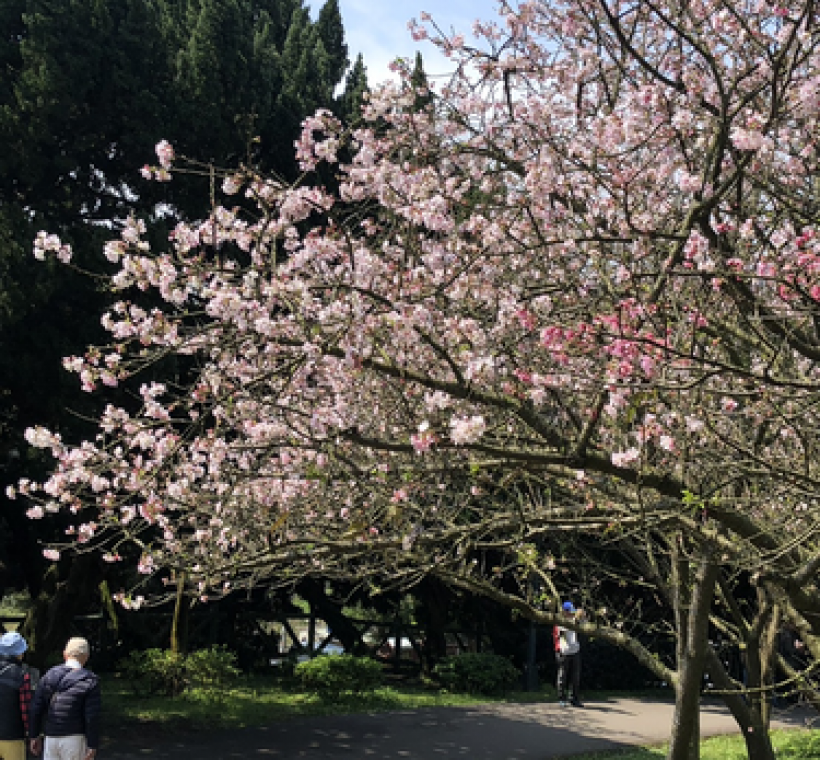 陽明公園遊客中心前