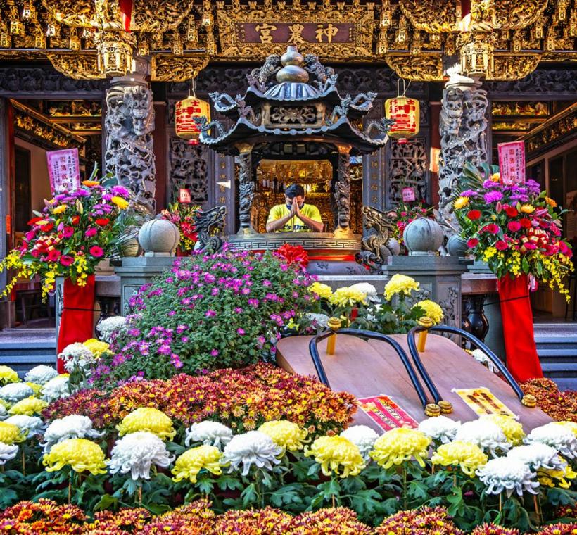 優選-士林官邸菊展-王朝騰