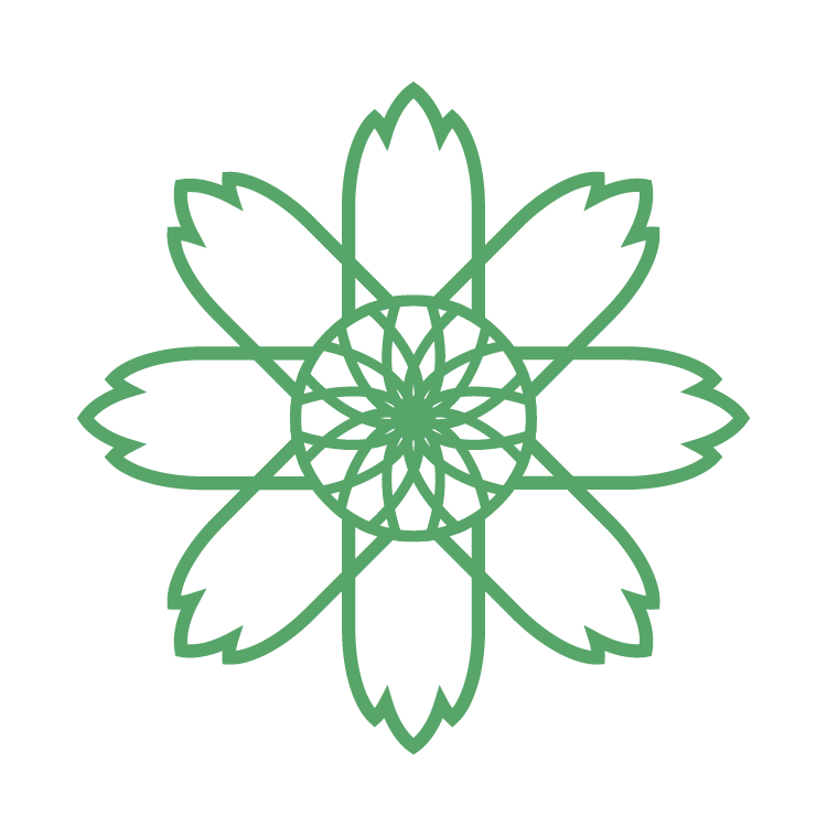 大波斯菊