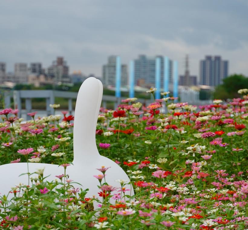   2024年花海一隅