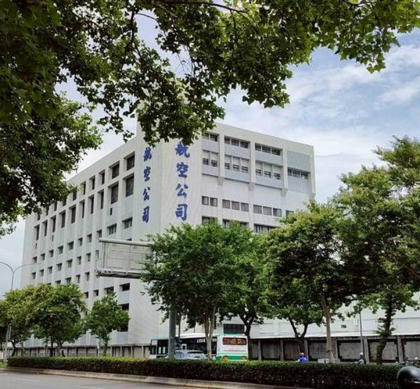 松山區民權東路三至四段的九芎盛開如夏日白雪