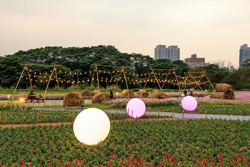 古亭河濱公園花海 