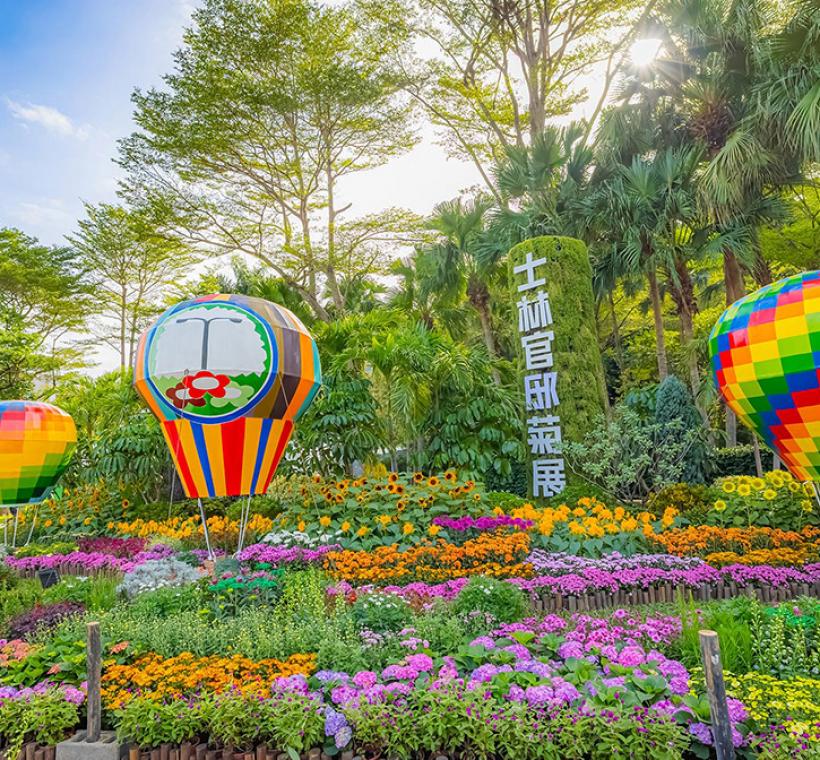 菊展與您藝菊圓夢，登上追夢的熱氣球