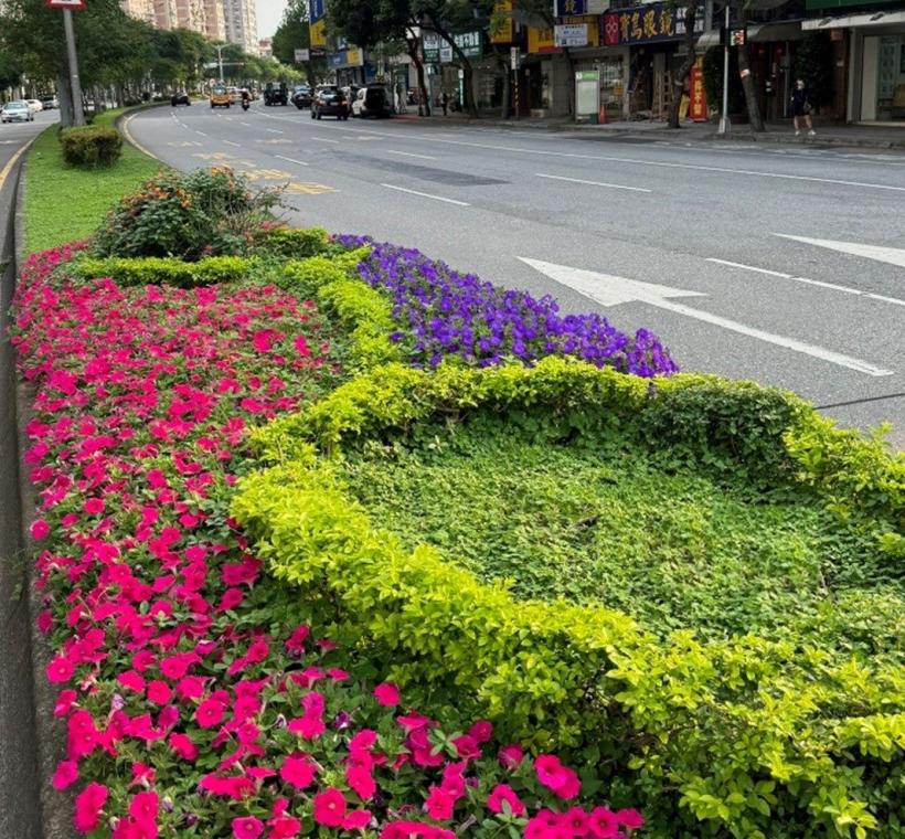圖3.承德路四段種植矮牽牛、金葉金露華、馬櫻丹