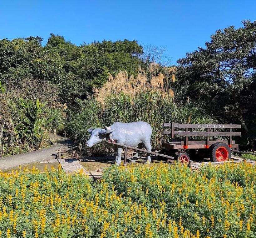 牛車意象增添步道的農村樂趣