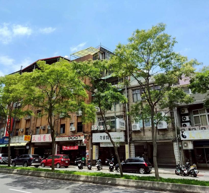 延平北路5段中央分隔島的光臘樹成為街道上特色風景
