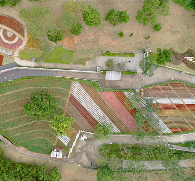 2025 Shan-Tseng-Chi Flower Festival