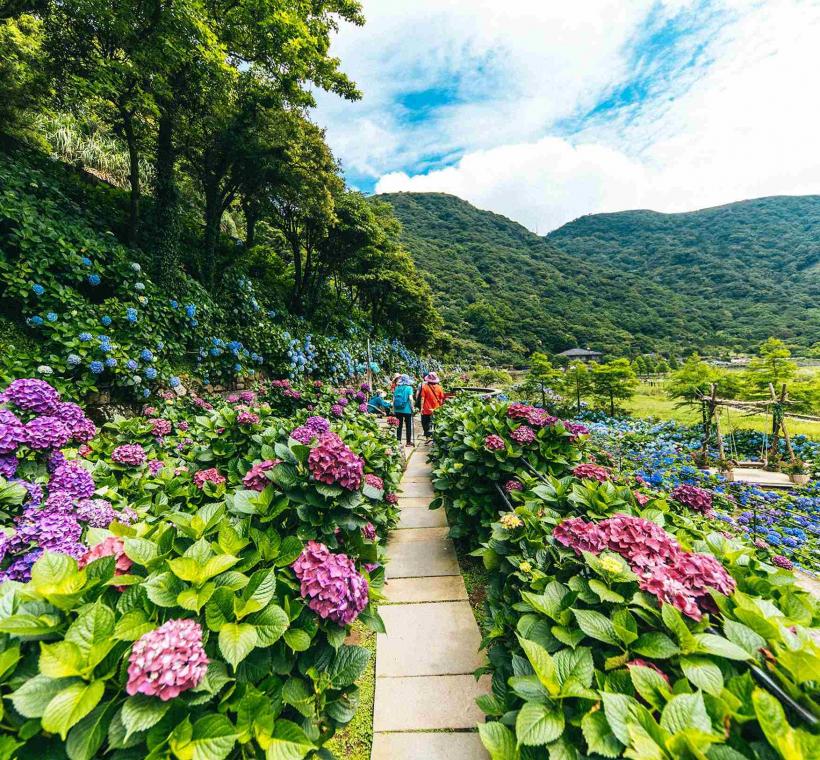 圖3、竹子湖豐富的地形變化，營造不同的視覺饗宴