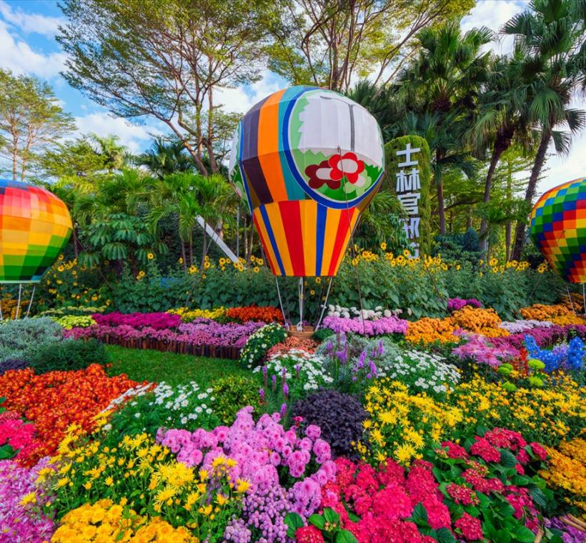 優選-士林官邸菊展-吳宇莉