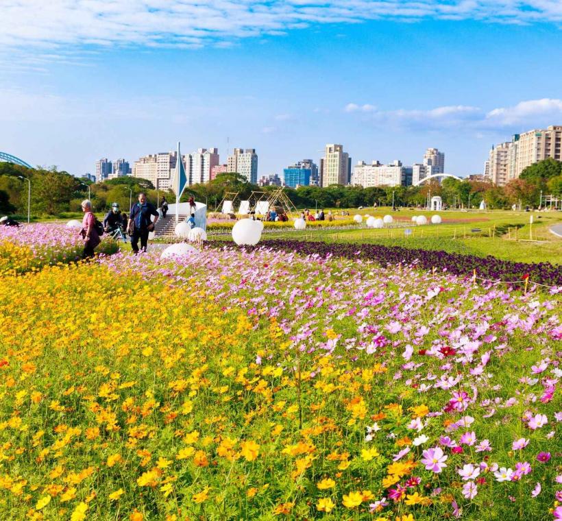 古亭河濱花海是賞花的好去處