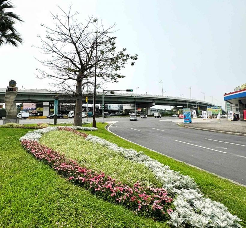 圖4.大業路與承德路口種植五彩石竹、銀葉菊、沿階草