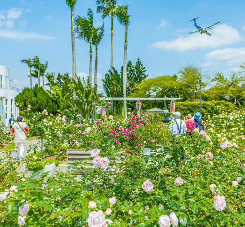 園區8成花開，五彩斑斕滿滿春意