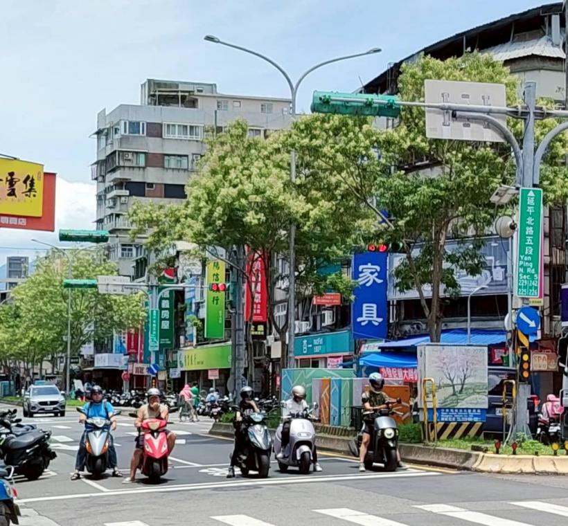 延平北路5段中央分隔島的光臘樹成為街道上特色風景