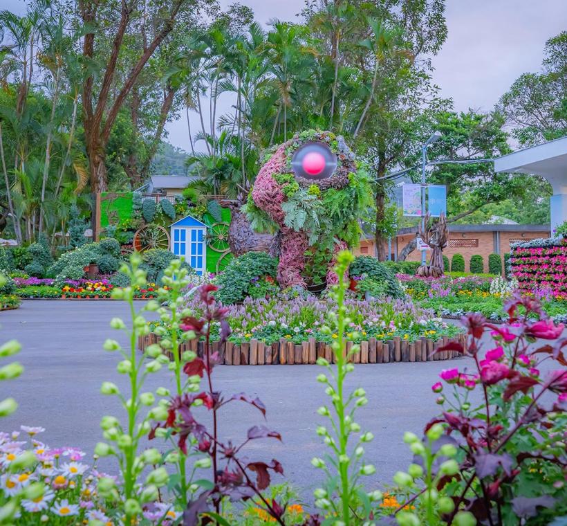 夢花園繪本中的主角變色龍花傻傻