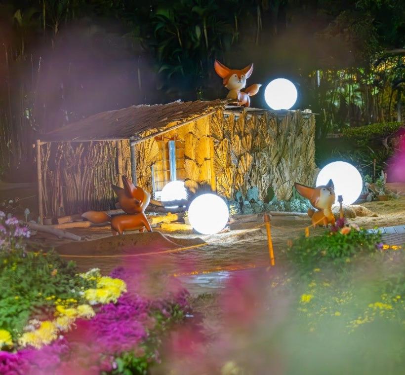 夜間的「沙漠之春」有著悠靜之美